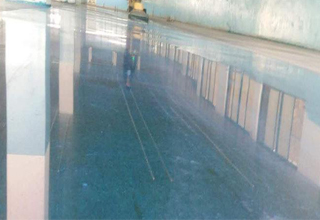 ������ĥӲ����ƺ